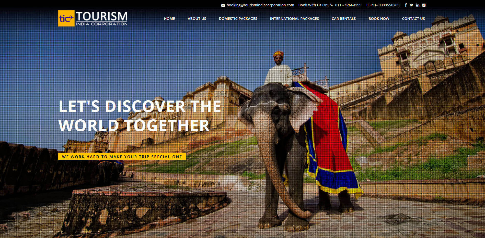 best travel website designing delhi