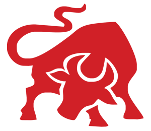 business website designing company noida