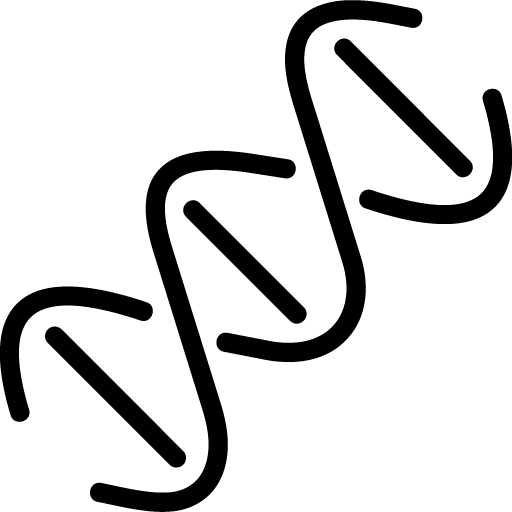 ecitex creative website design company delhi